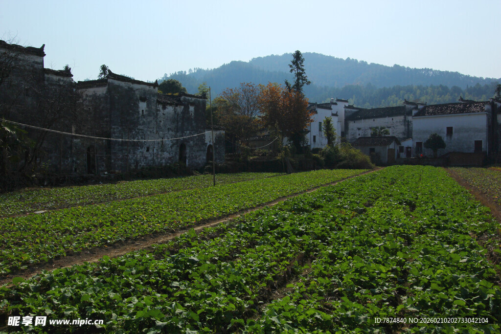 婺源乡村田园风光 宁静村落