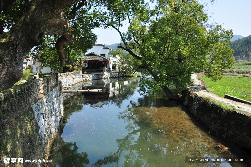 婺源宁静水乡小河畔风景