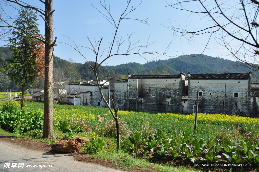 婺源乡村田园风光美景