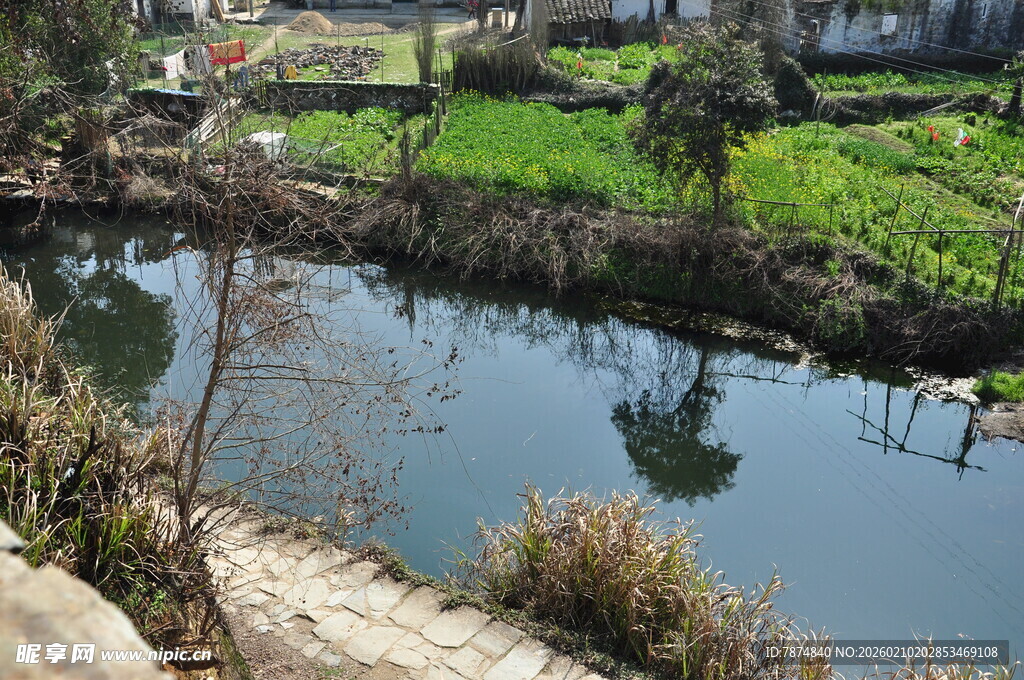 婺源乡村宁静小河景观