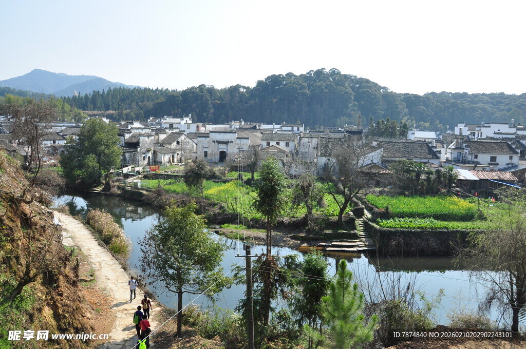 婺源乡村河畔风光美景