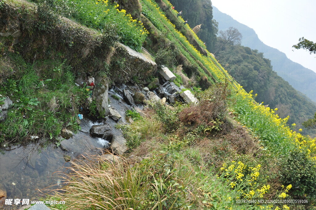 婺源山间溪流旁的多彩田园风光