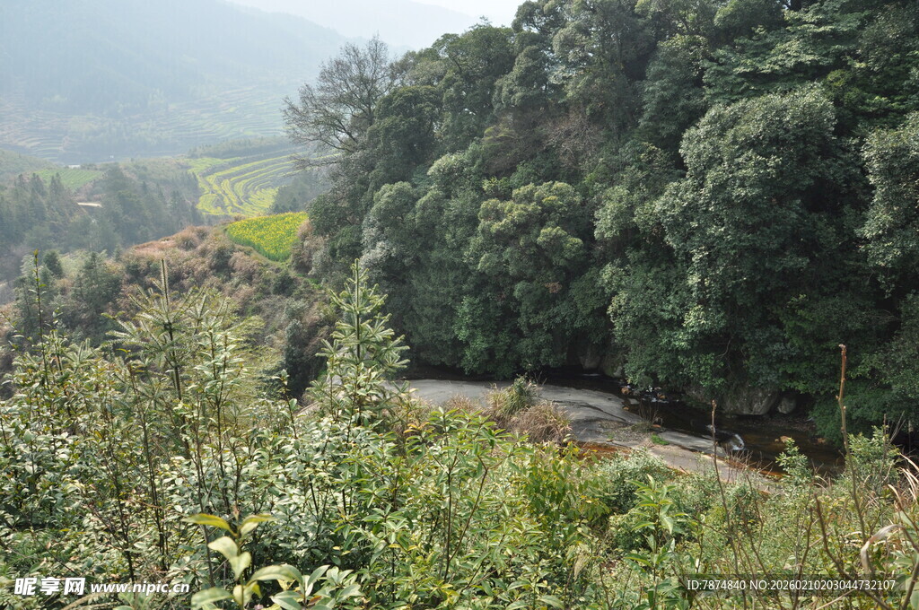 婺源山间绿意盎然的自然景致