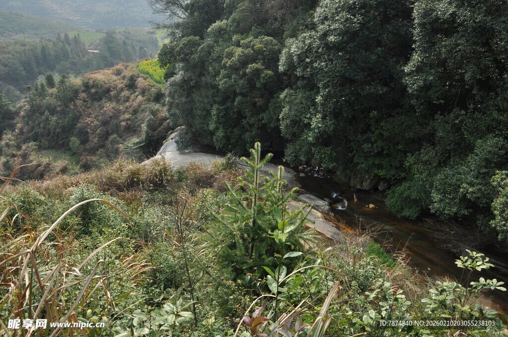 婺源山间蜿蜒小路 绿意盎然