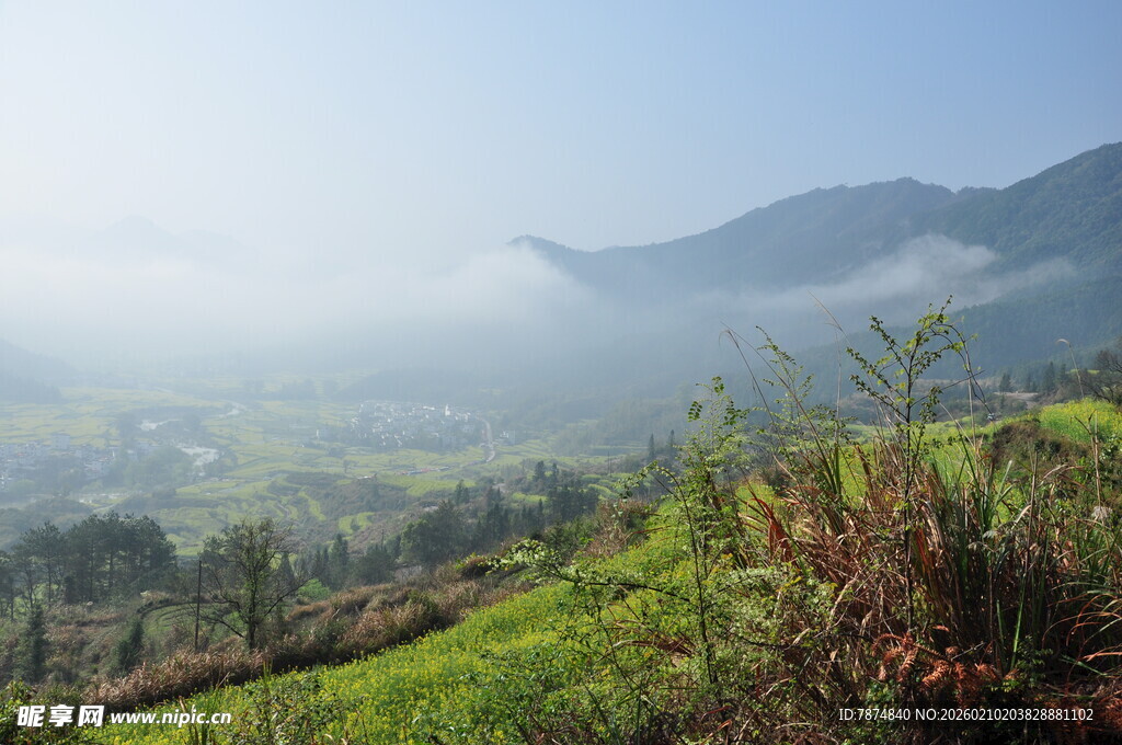 婺源山间晨景 绿意盎然