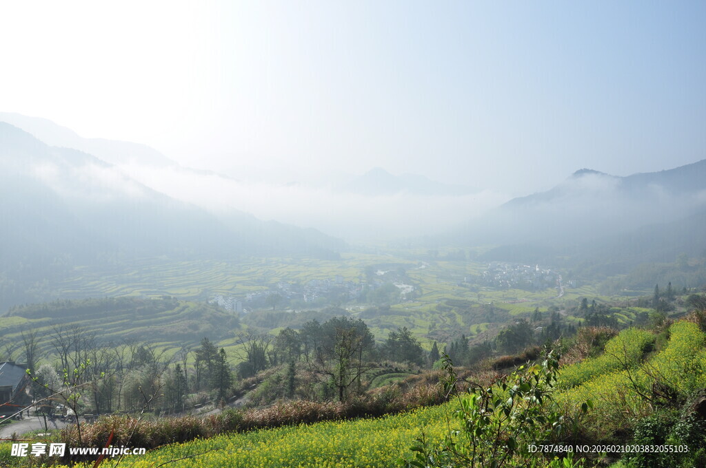 婺源山间晨景 绿意盎然的田园