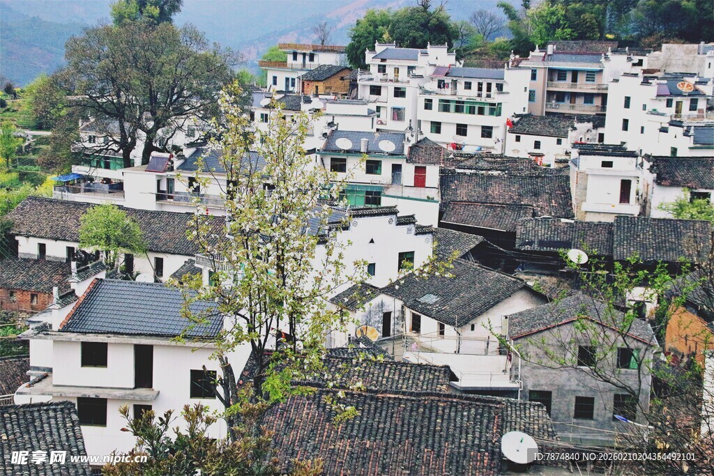 婺源徽派村落景致