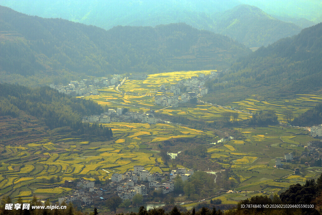 婺源山间金黄田野美丽风光