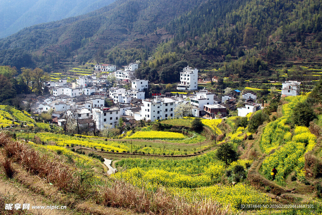 婺源山间村落与金黄梯田美景