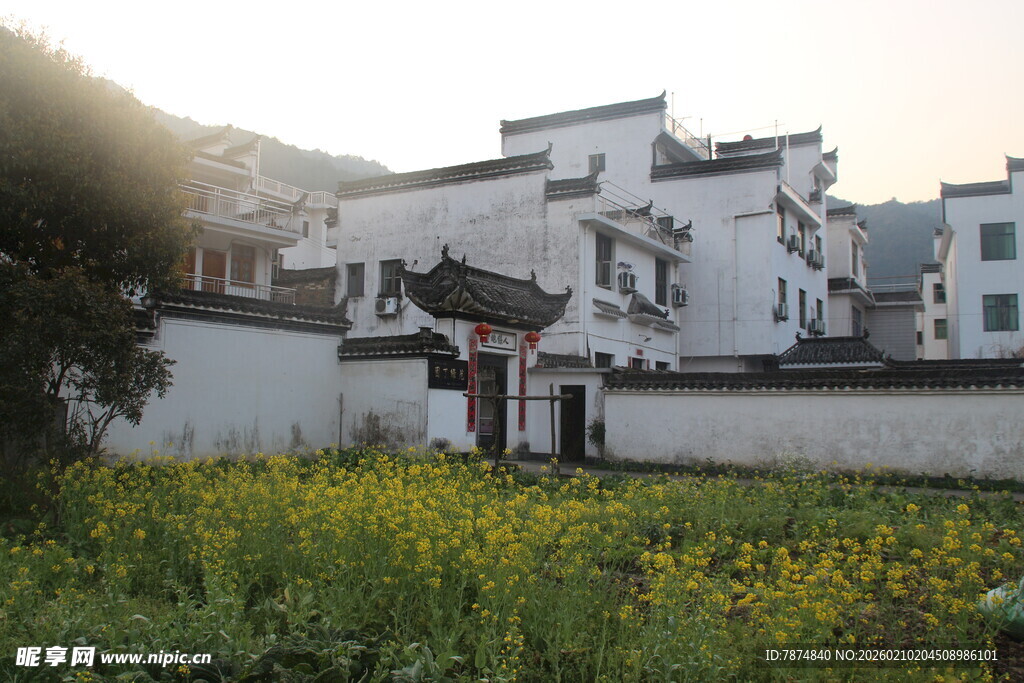婺源徽派村落前的烂漫花田