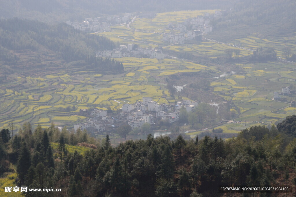 婺源山间油菜田美景