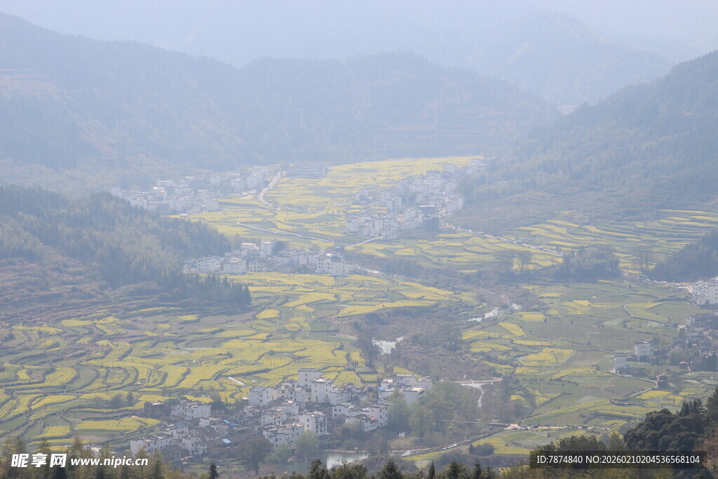 婺源山间油菜田乡村美景