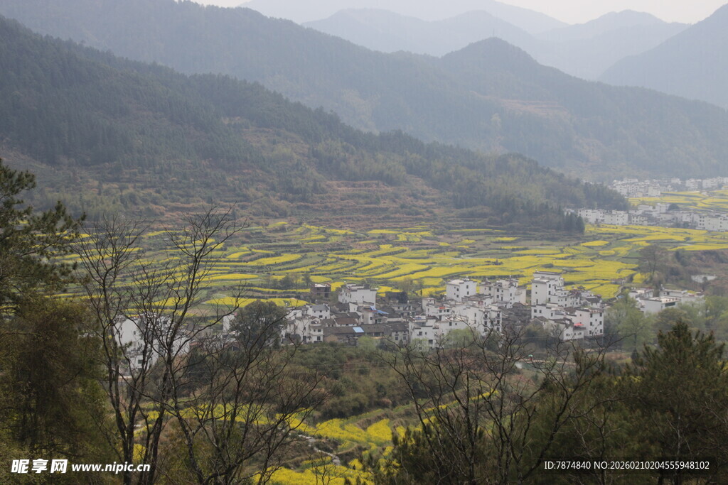 婺源山间油菜花海田园美景