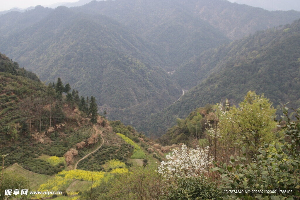 婺源山间春色 繁花点缀山谷