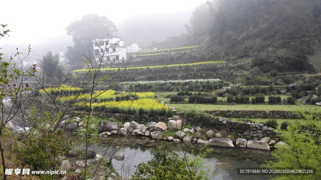 婺源山间云雾缭绕的梯田美景