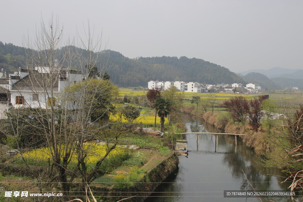婺源乡村河畔春日田园风光