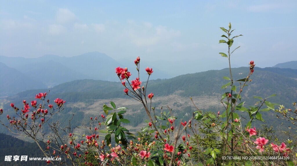 婺源山间繁花绽放的秀丽景致