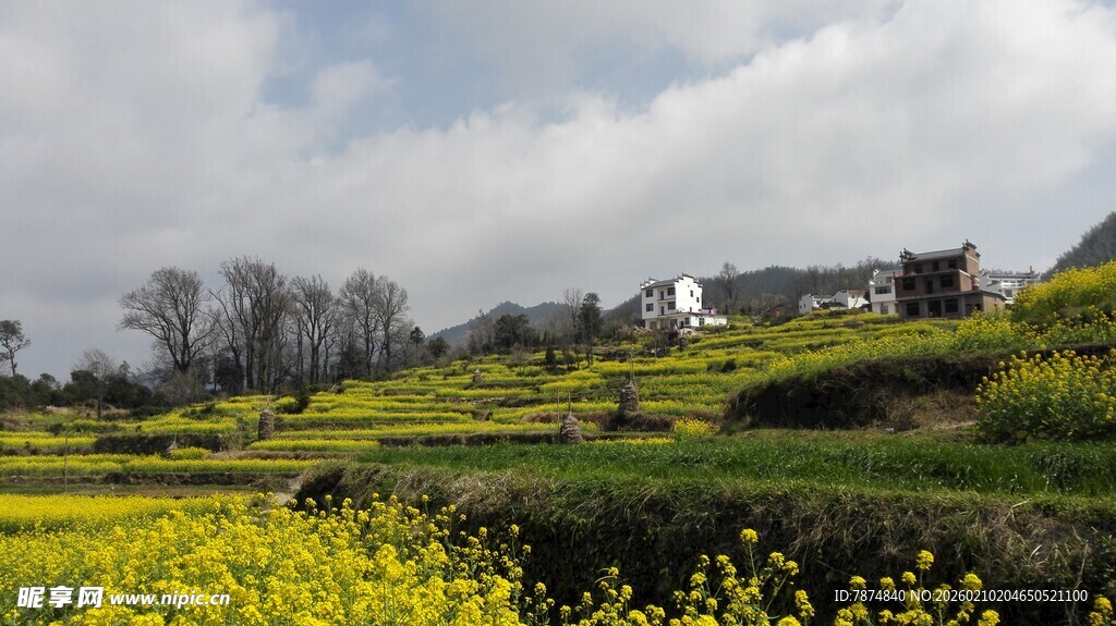 婺源春日田园风光美景