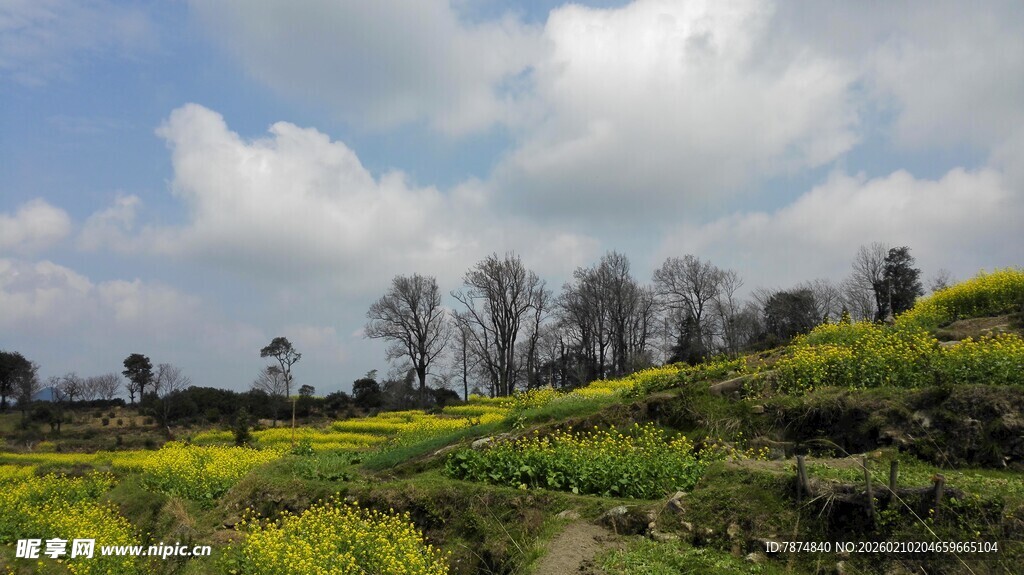 婺源田园绿野风光