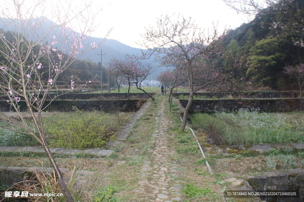 婺源山间废弃铁轨 自然野趣