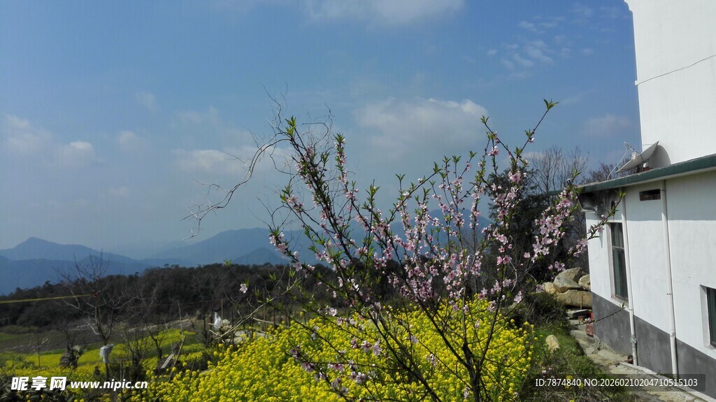 婺源春日乡村美景