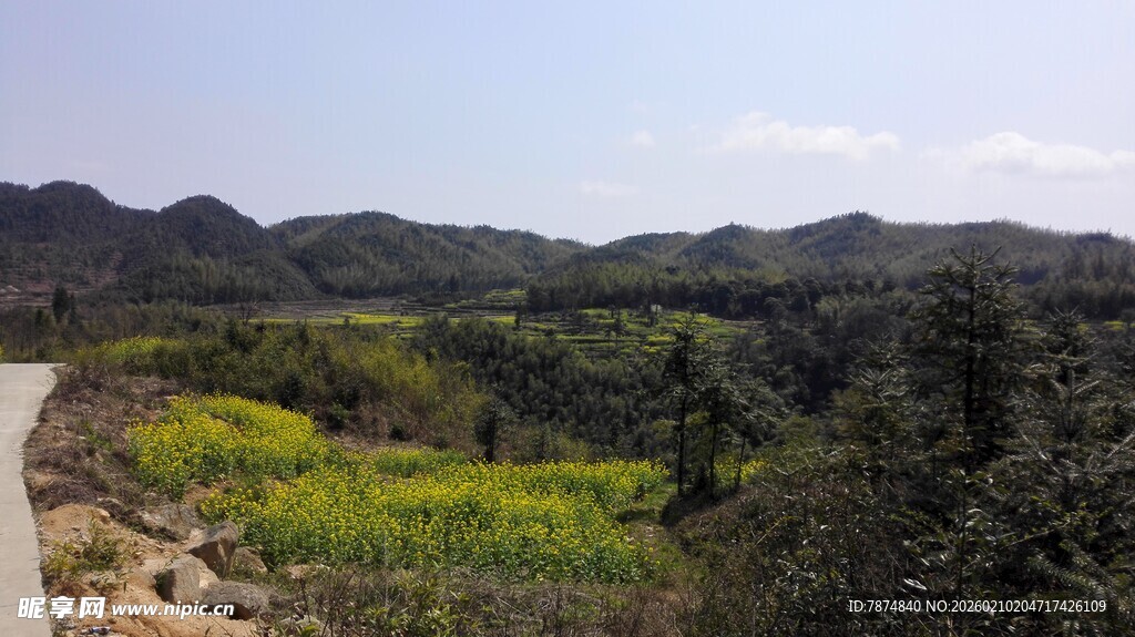 婺源山间小路旁的多彩田野风光
