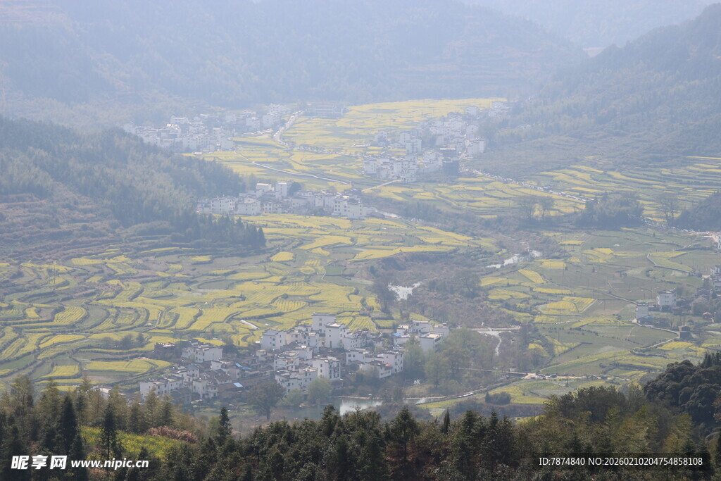 婺源山间油菜花海美景
