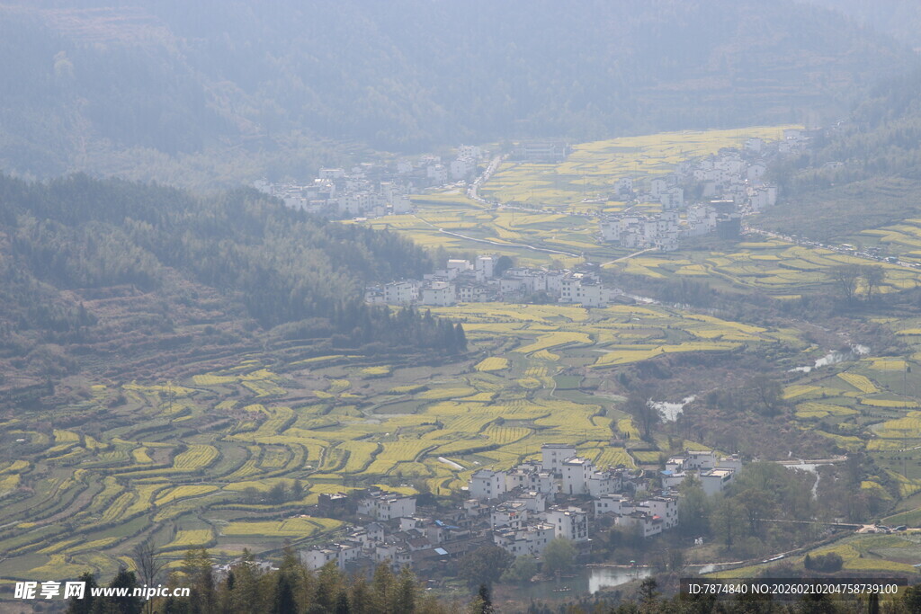 婺源山间油菜田美景