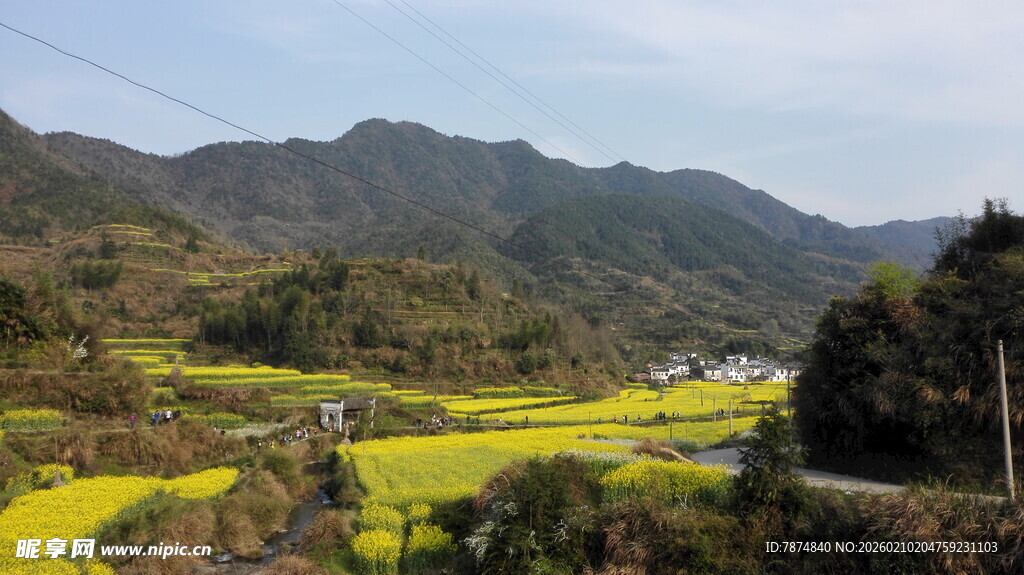 婺源山间油菜花海田园风光