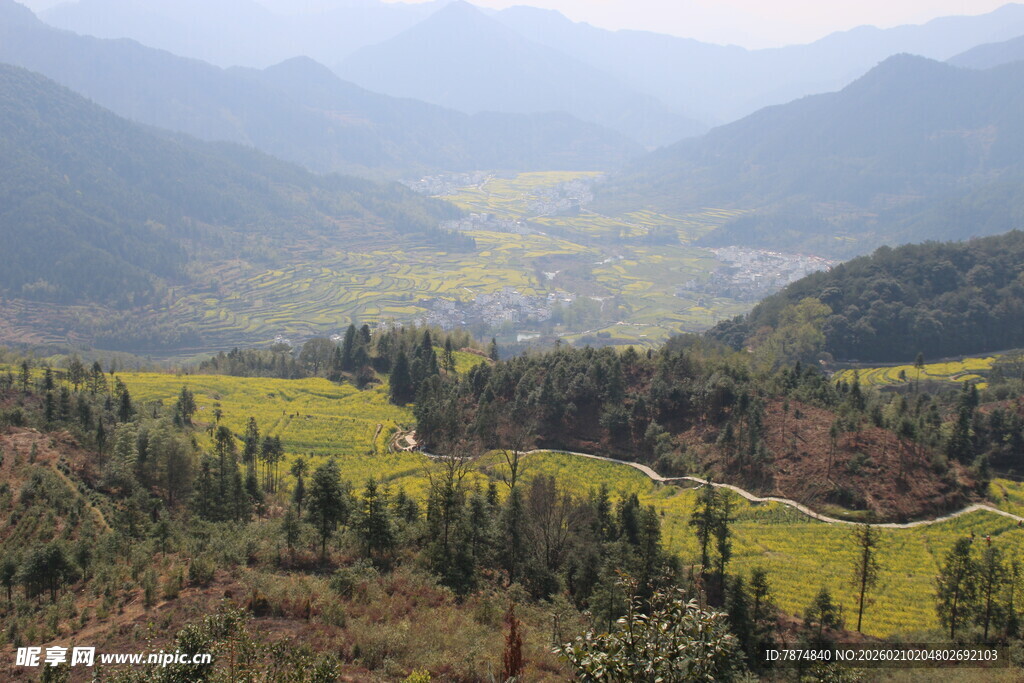 婺源山间田园美景