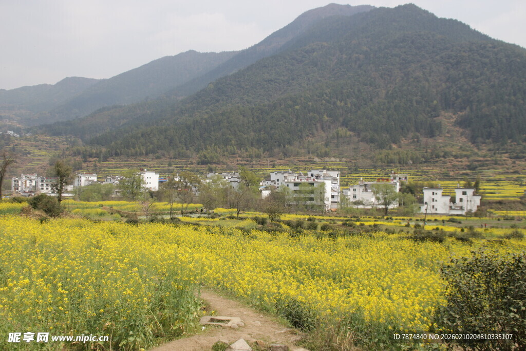 婺源山间油菜花田与村落美景