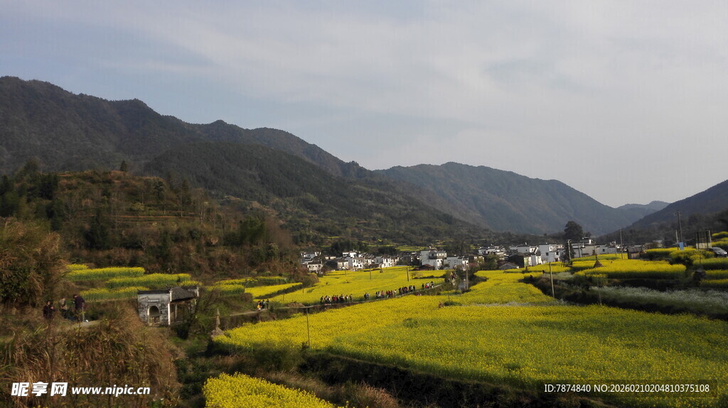 婺源春日山间油菜花海美景