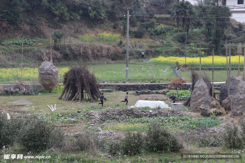 婺源乡村田野间的劳作场景
