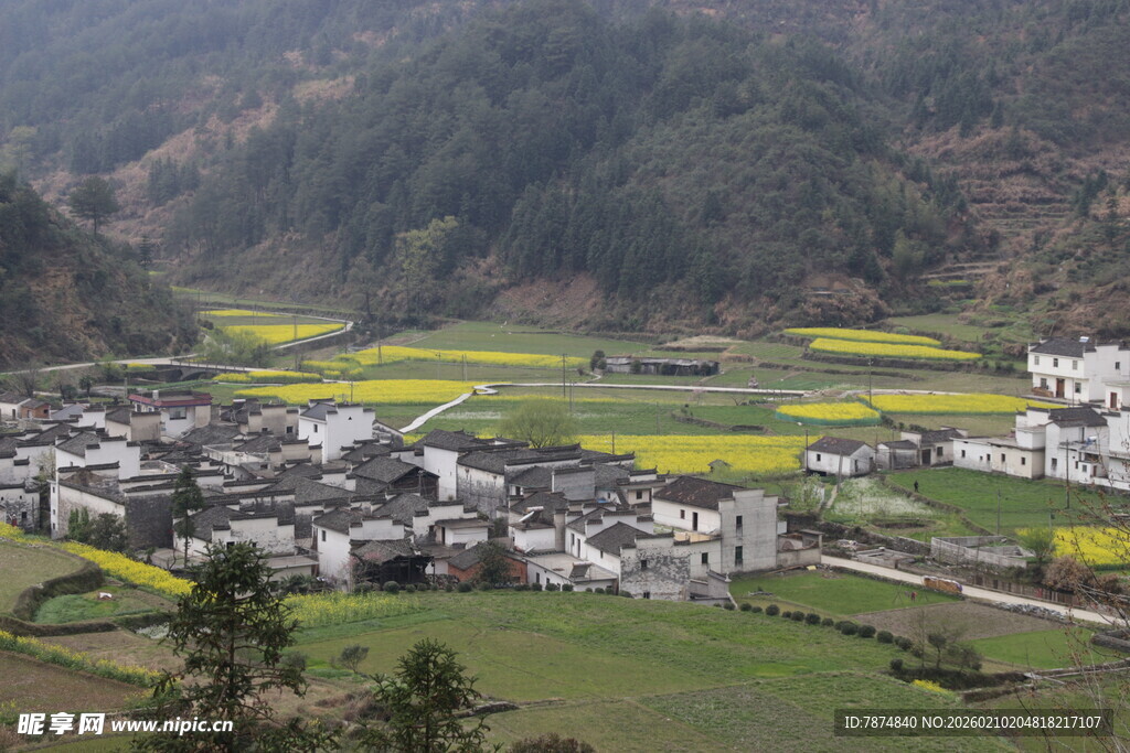 婺源山村田园春色美景如画