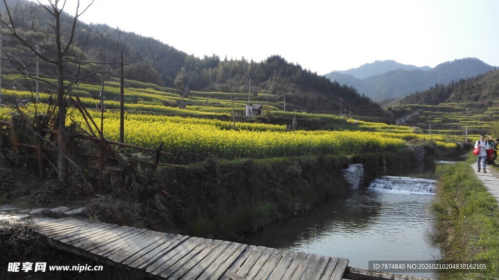 婺源山间木桥旁的田园风光