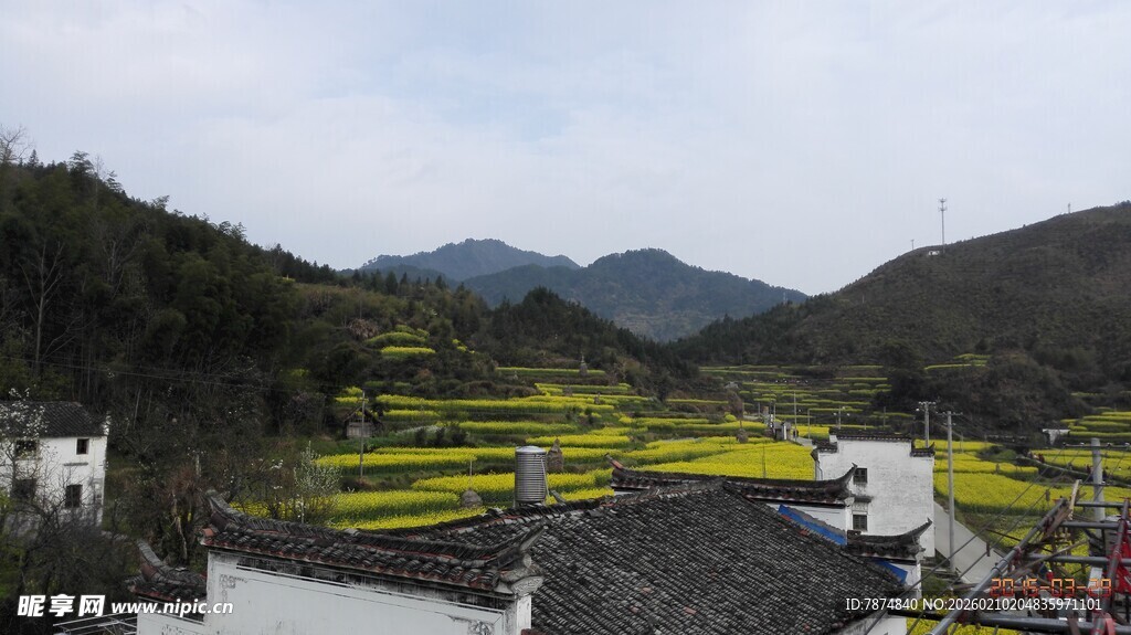 婺源山间梯田美景