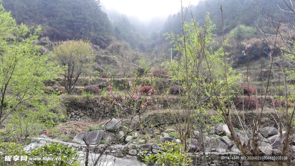 婺源山间春色 绿意盎然的河谷