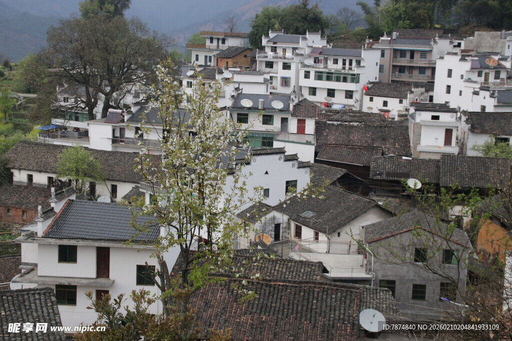 婺源徽派村落景致