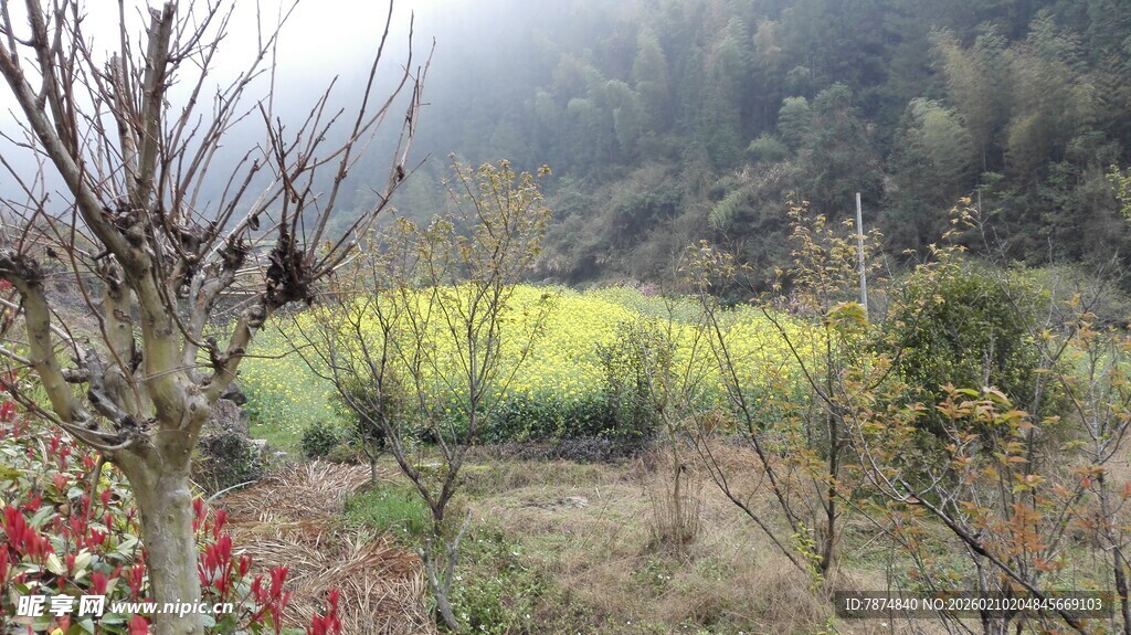 婺源春日山间田园风光