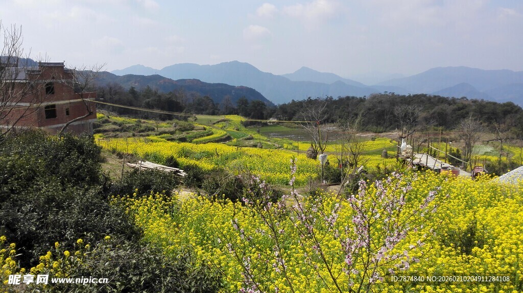 婺源山间油菜花海田园美景