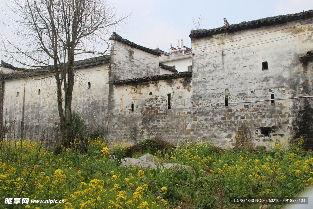 婺源古村落春色 斑驳老屋繁花