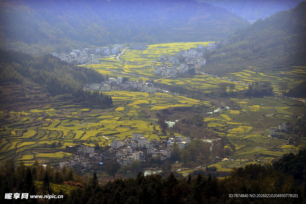 婺源春日山间油菜花海美景
