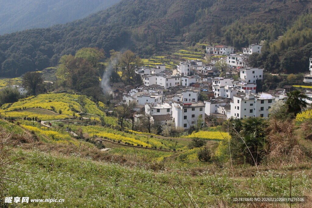 婺源山村春色 梯田花海人家