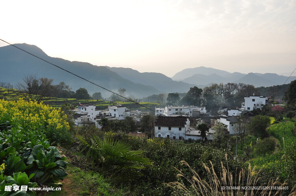 婺源山村晨景 绿意环抱的村落