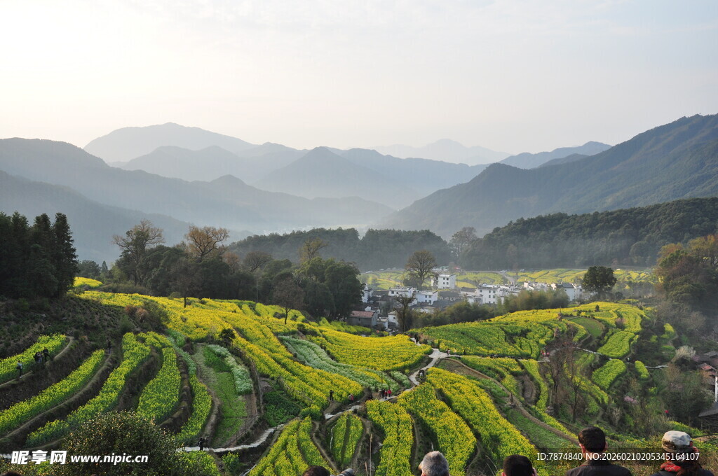 婺源梯田美景 山间田园风光