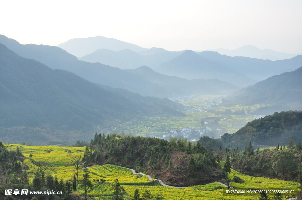 婺源山间绿野风光