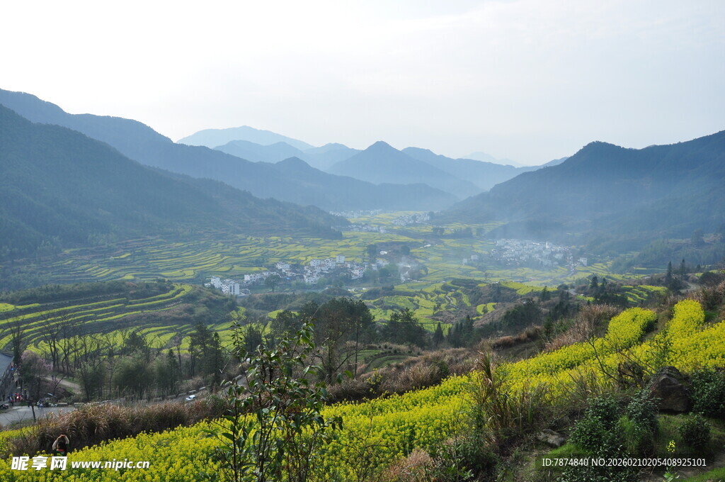 婺源春日山间油菜花海美景