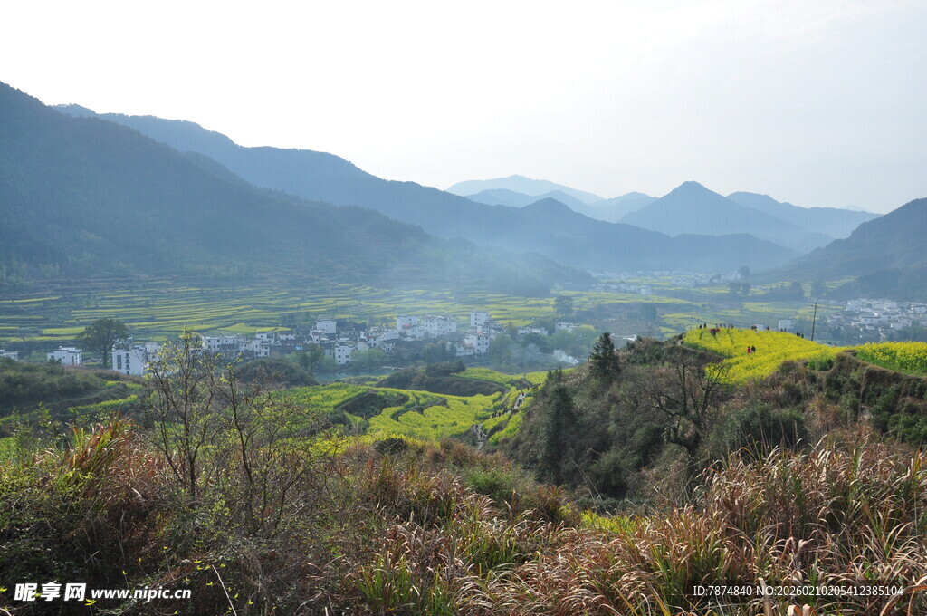 婺源山间油菜田美景