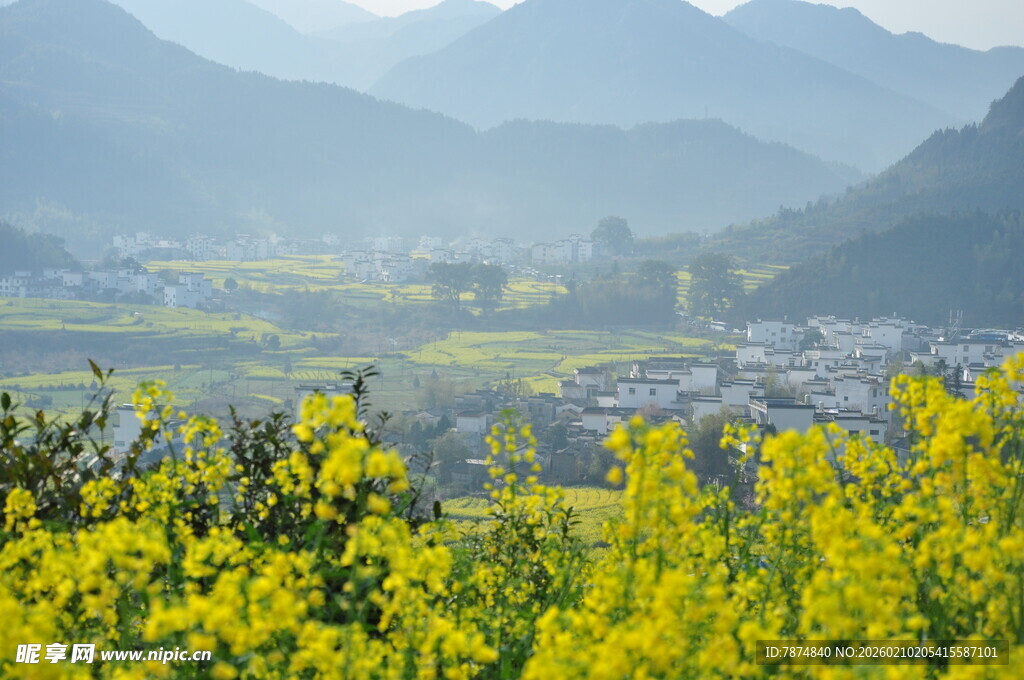 婺源春日山间的灿烂油菜花田