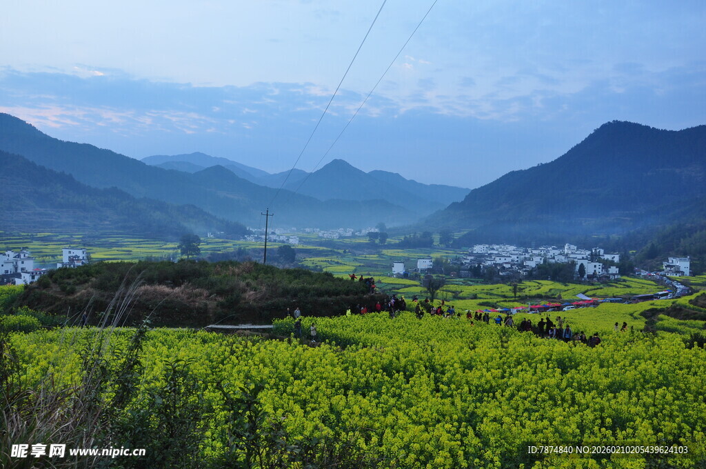 婺源春日山间油菜花田美景